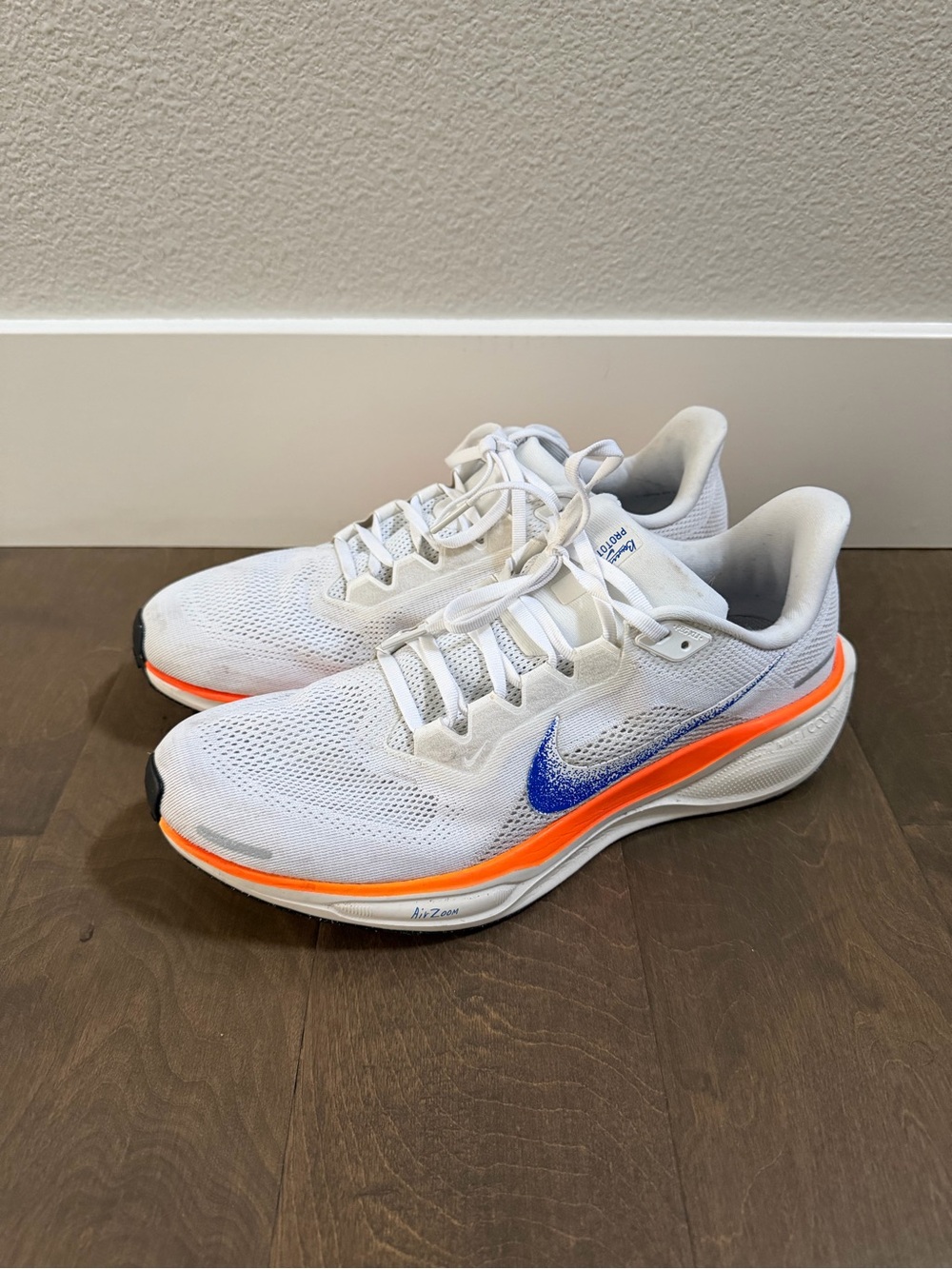 Nike Men’s Air Zoom Pegasus 41 Blueprint Pack Size 12